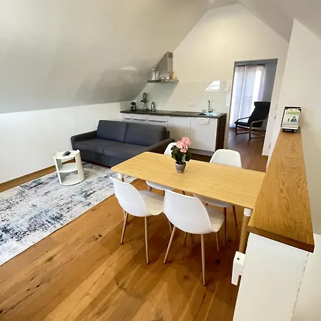 Villa K10 à Fussach Extérieur photo